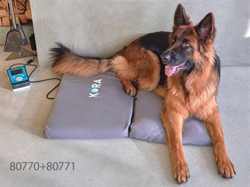 VET MAGNETOTHERAPY BASIC KIT