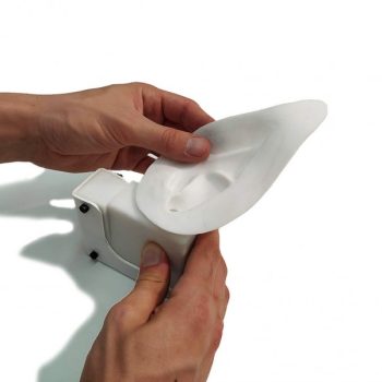 examination and cleaning techniques of canine ears