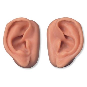 Acupuncture Ear Set/Ten Students