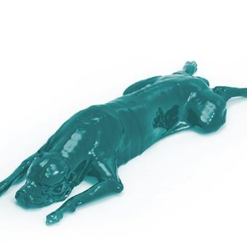 Dog phantom for CT and X-ray