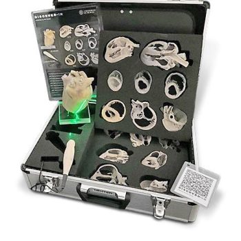 Canine Echocardiography Kit