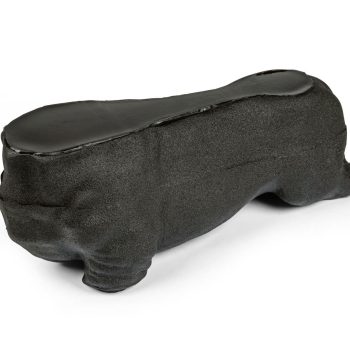 Lillie' Canine Ultrasound Phantom Training Kit