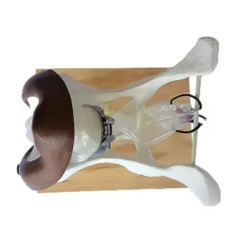 Metri-Treating Kit Includes