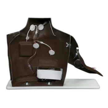 Dark Skin Chester Chest Model