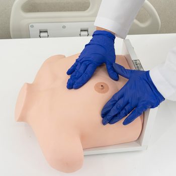 Adult Female Breast Model