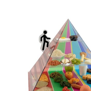 Food Pyramid/Replica