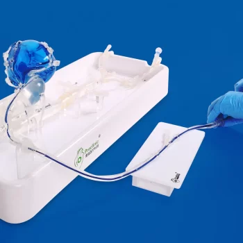 3D coronary artery model