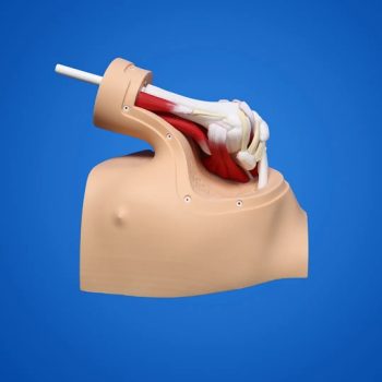 Shoulder Arthroscopy Surgery Training Model