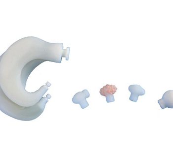 Pregnancy & Rectal Palpation Kit