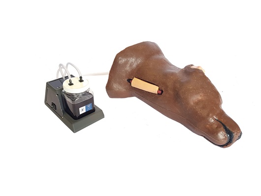 Jugular Blood Sampling Kit