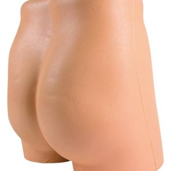 Simulator for i.m. injection and punch biopsy of the iliac crest