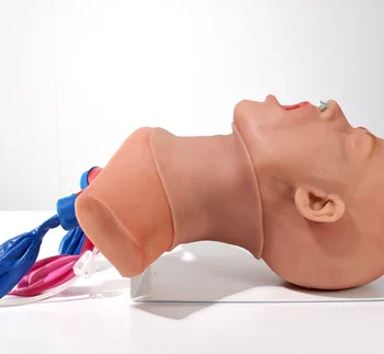 New Airway management Trainer