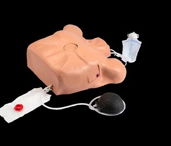 Pericardiocentesis Simulator with Chest Tube and Pneumothorax