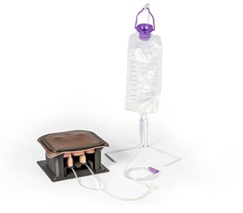 Equine Castration Surgical Simulator