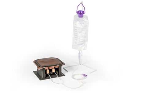 Equine Castration Surgical Simulator