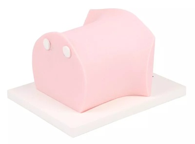 SonoEZ paediatric ultrasound trainer ‘ZVK