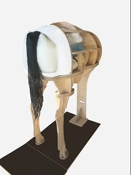 Equine Rectal Palpation and Ultrasound Training Model