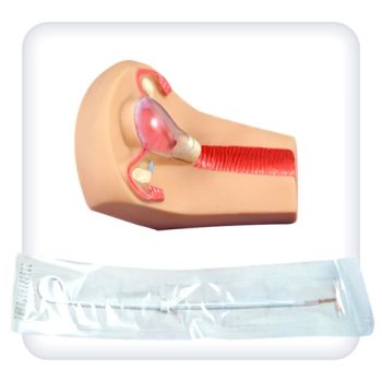 Trainer for practicing intrauterine contraception skills