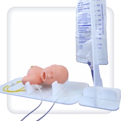 Child head model for Venipuncture