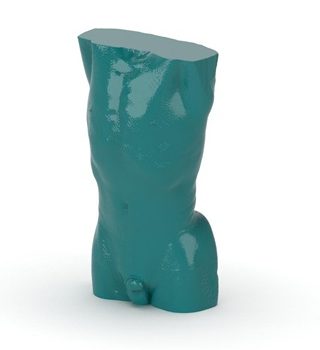 Torso Phantom