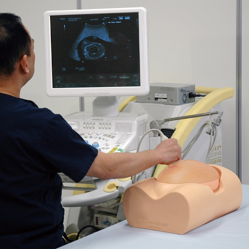 Fetus Ultrasound Examination Phantom" - Image 2