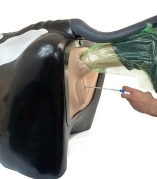 The Smart Repro Cow