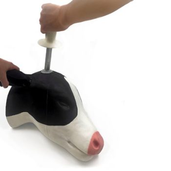 New: Calf Disbudding Horn Buds