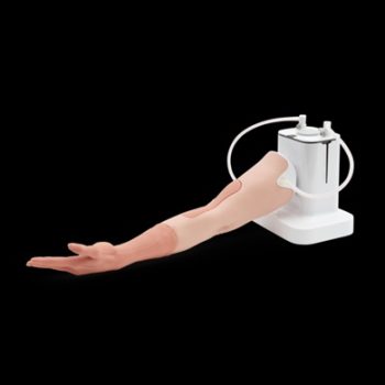 Its Arrived! the New IV Injection Arm Great for Nursing Schools medical training Centres