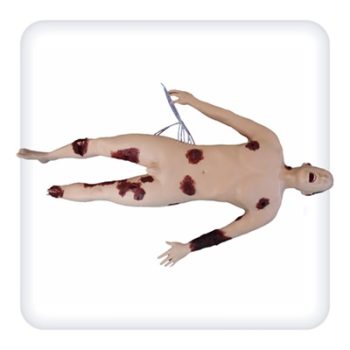 Wound Simulator