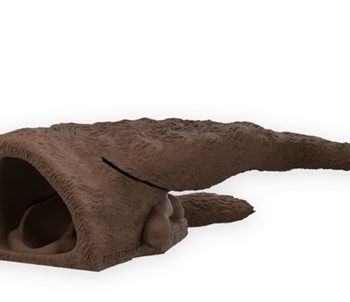 Rex“ Male Dog Catheterization Simulator