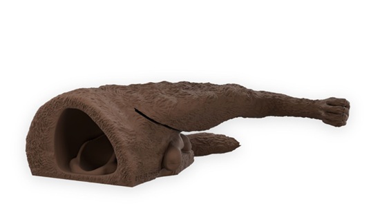 Rex“ Male Dog Catheterization Simulator