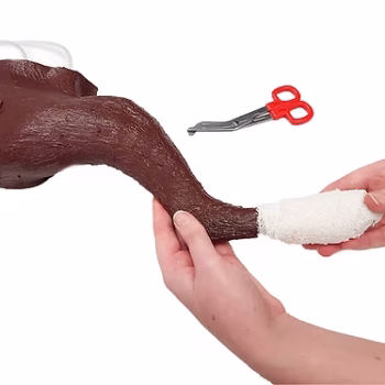 An IV and Bandaging training model all in one.