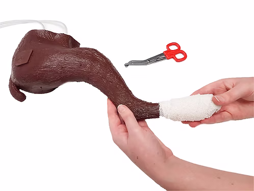 An IV and Bandaging training model all in one.
