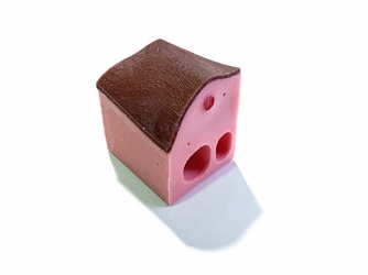Canine Oesophageal Jugular Block