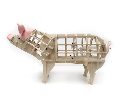 Interlocking Porcine Model