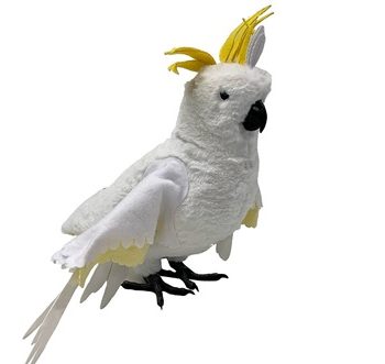 A Range of Avian Models now available from Medstore