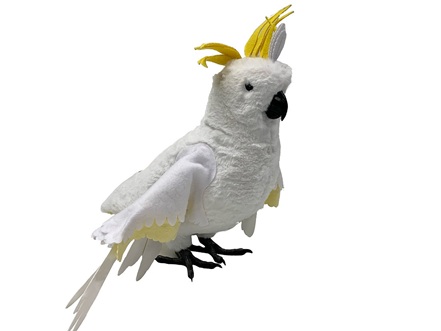 A Range of Avian Models now available from Medstore