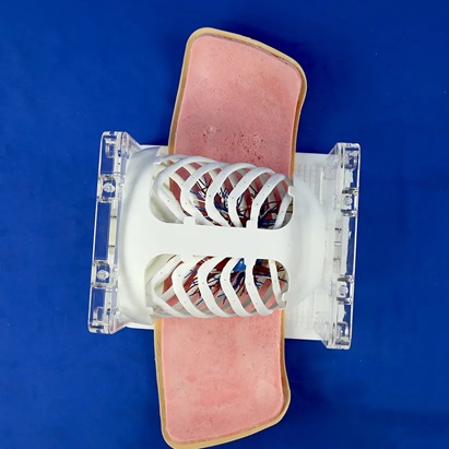 Lung Nodule Puncture Model