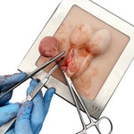 Castration Model & Fetus Set – Hands-on Training, Redefined