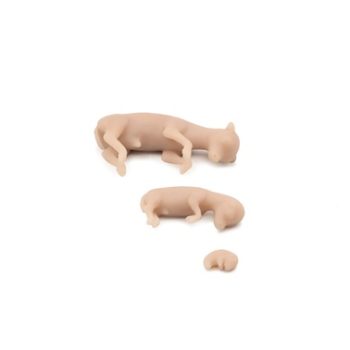 Fetus Set/Cow