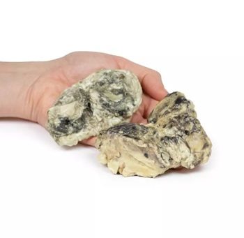 A New Range of Infection Models has arrived/Sample set out below
