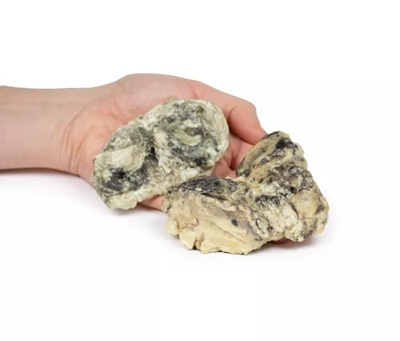 A New Range of Infection Models has arrived/Sample set out below