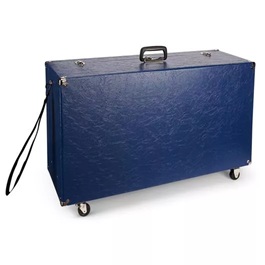 A Variety of Storage/Mobile Cases now available for your Anatomical Training Model