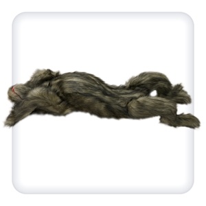 Simulator for practicing the skills of fixing dogs