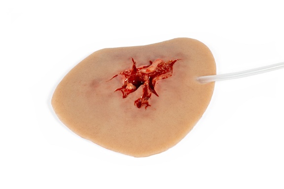 Wound Moulage Groin Injury with Bleeding Feature