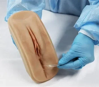 Catheterization and Eneema Female task trainer/Realistic Model