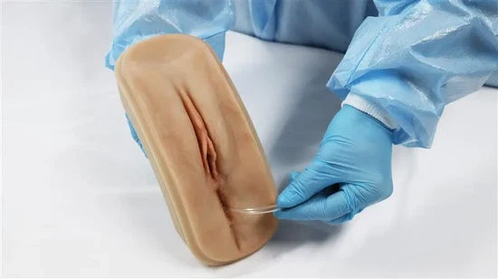 Catheterization and Eneema Female task trainer/Realistic Model