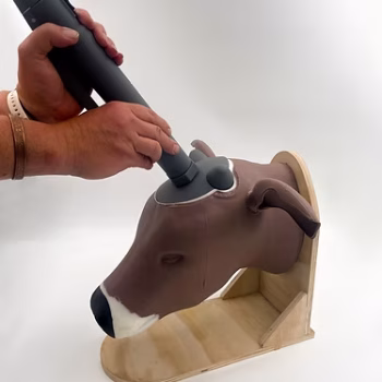 Great New Range of of Student Veterinary Training The Captive Bolt Training Kit