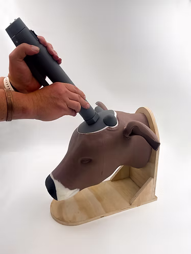 Great New Range of of Student Veterinary Training The Captive Bolt Training Kit