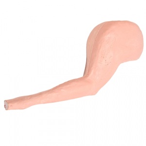 Veterinary Training Leg Suture Leg